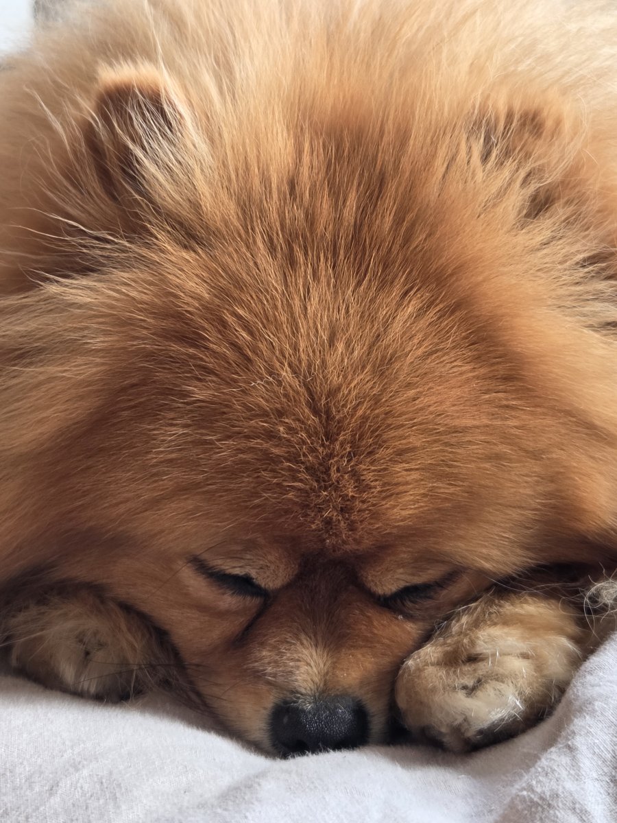 Winnie