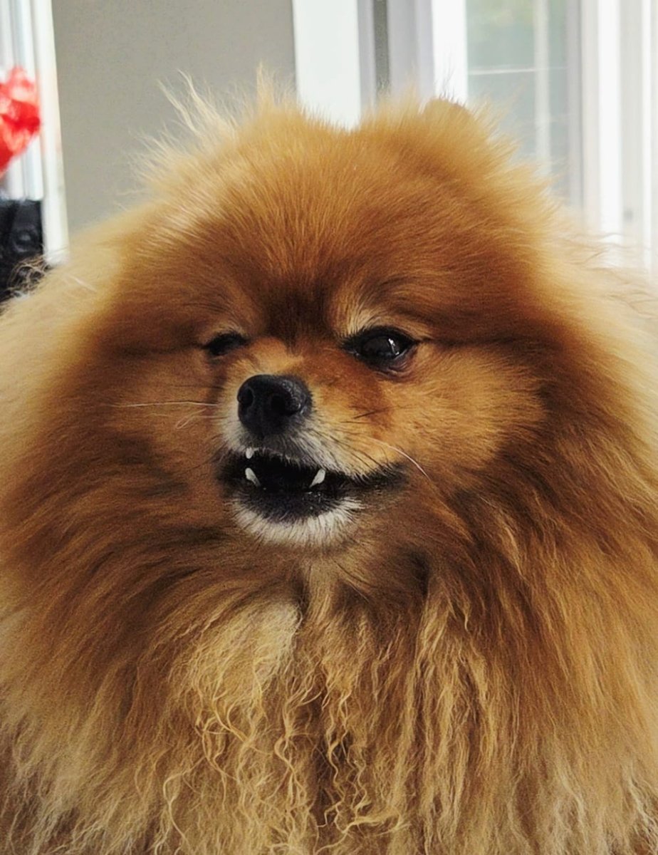 Winnie